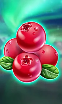Winterberries